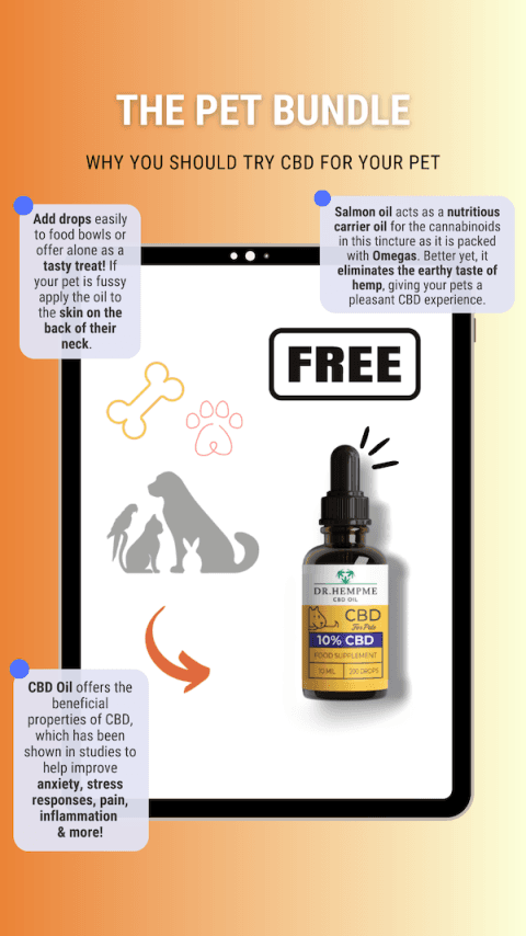 10% CBD oil for big dogs
