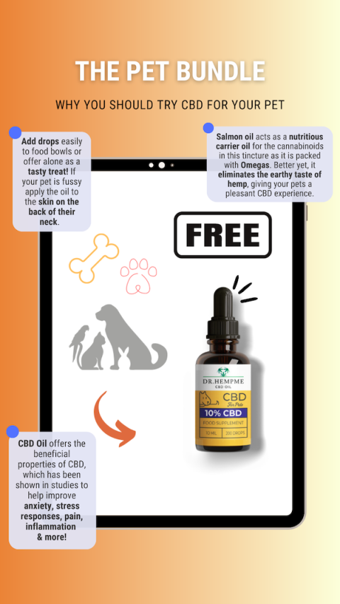 10% CBD oil for big dogs